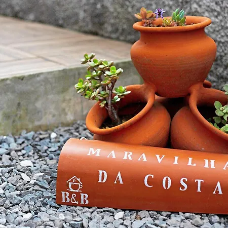 Casa de Férias Maravilha Da Costa Ponta do Pargo
